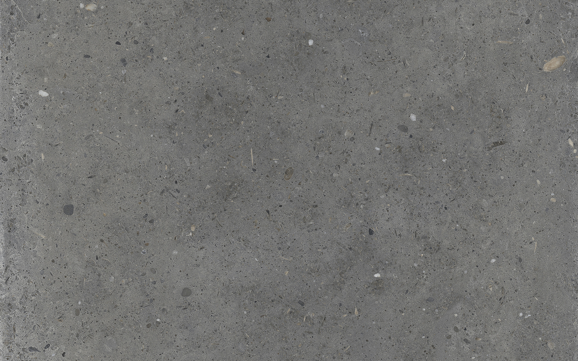 IRIS CERAMICA WHOLE STONE GREY NATURALE SQ. 60X30