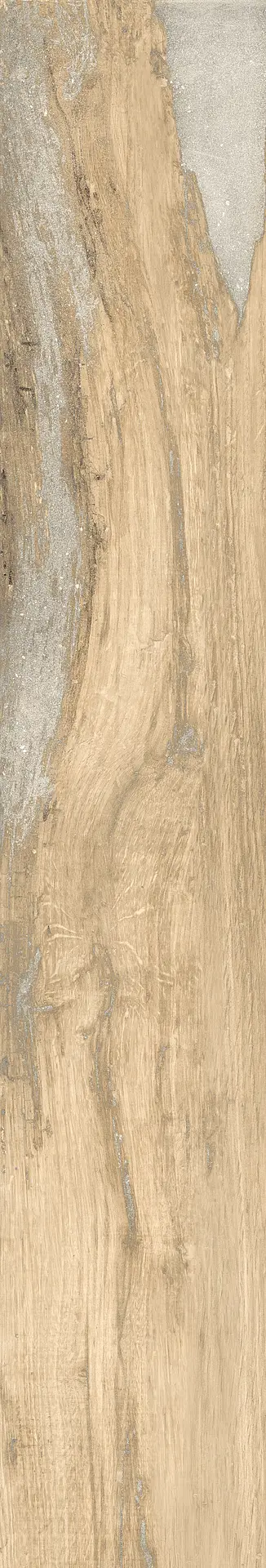 RONDINE INFUSION BIRCH RET H20 40x120