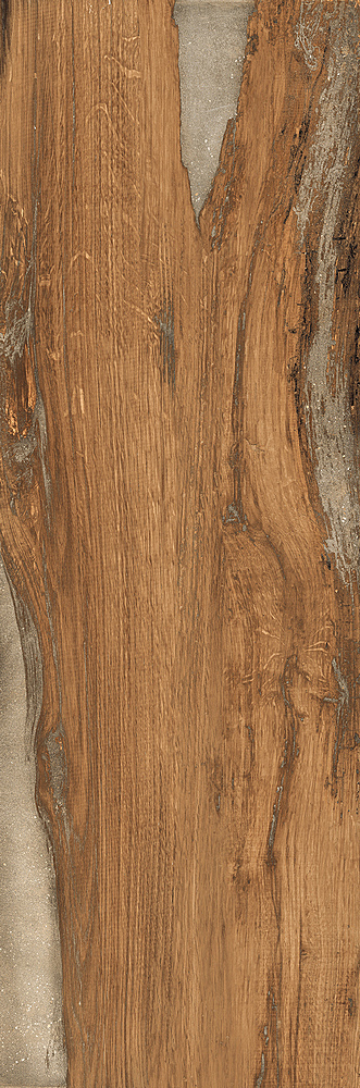 RONDINE INFUSION OAK RET H20 40x120