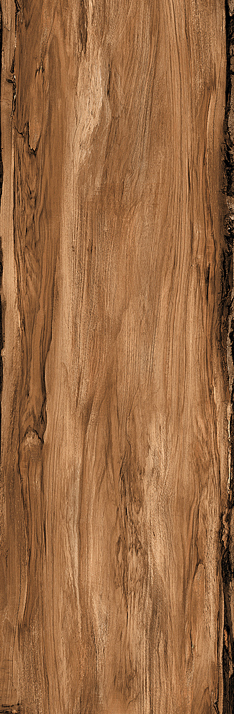 RONDINE SHERWOOD WALNUT RET H20 40x120