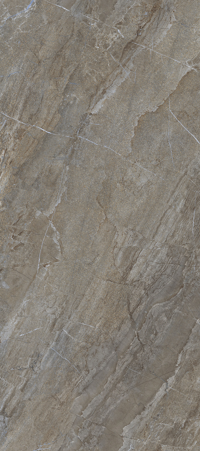 ENERGIEKER RETT AGATHOS MULTICOLOR 30x60