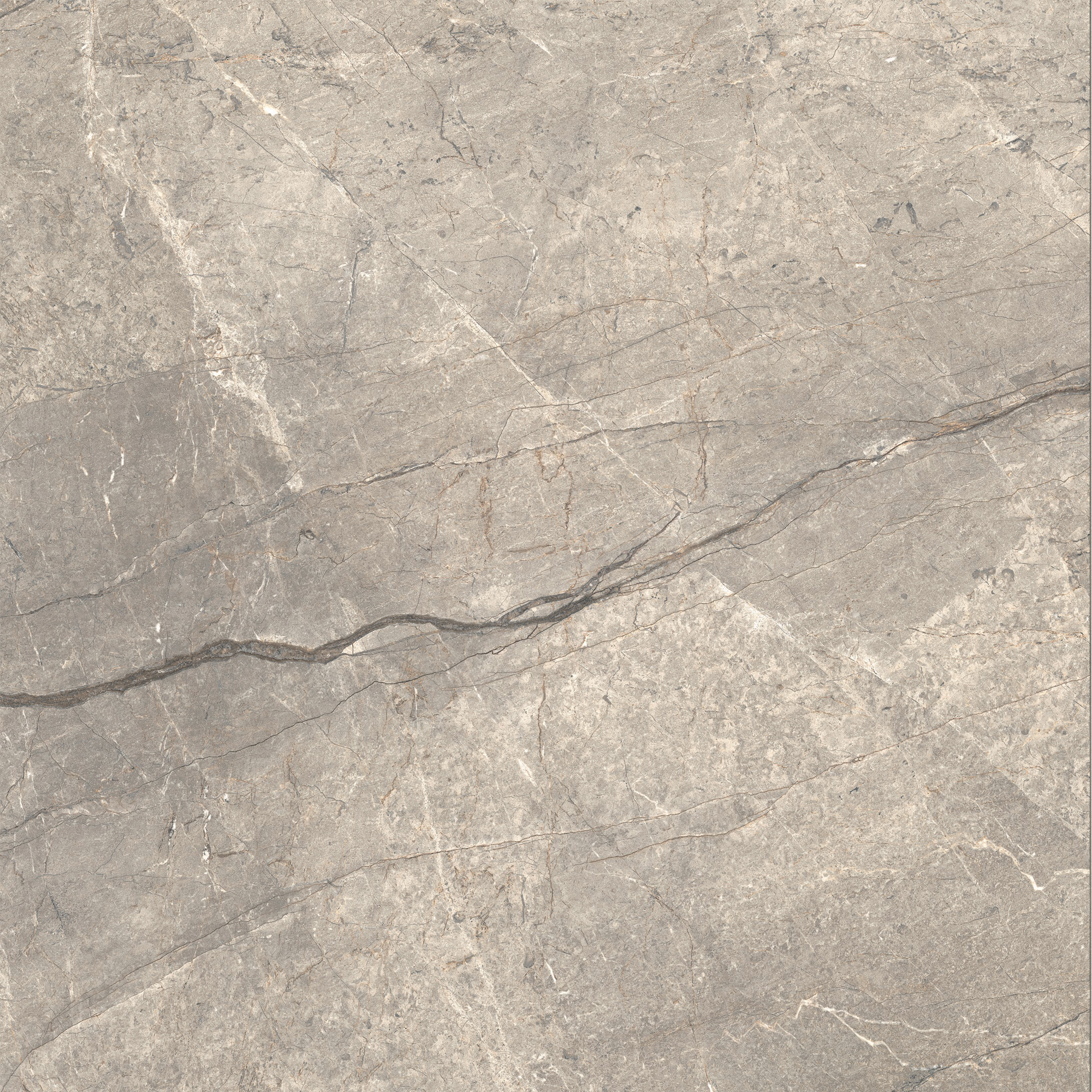 CAESAR ANIMA FUTURA AMAZING SILVER 120X120 LUX