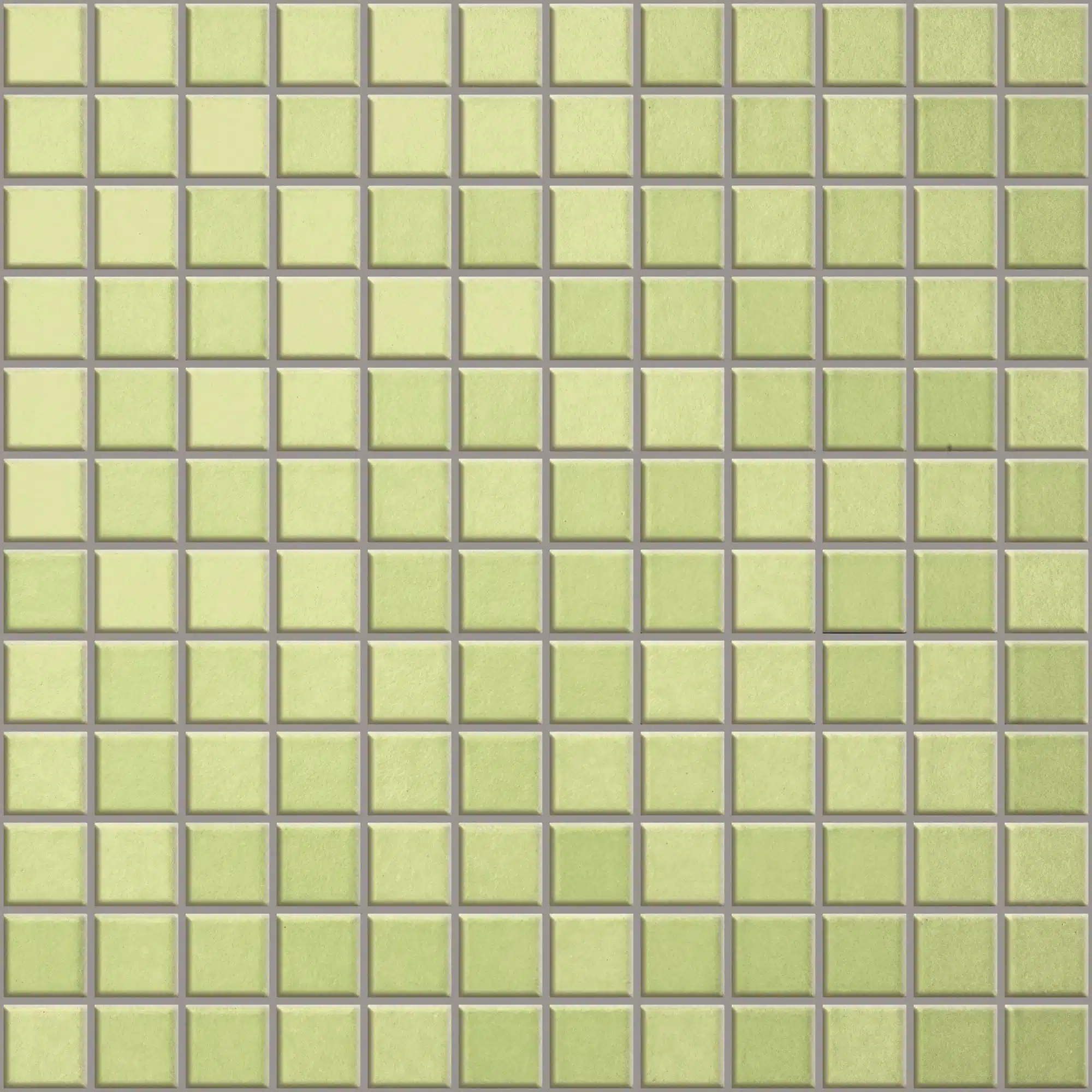 APPIANI ANTHOLOGHIA MOS 7028 GLADIOLO 2,5-30X30