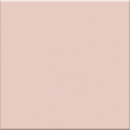 VOGUE INTERNI IN ROSA RETE 10x10