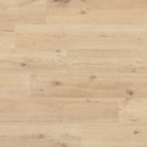 CAESAR RR.ANISE 20X120 RT