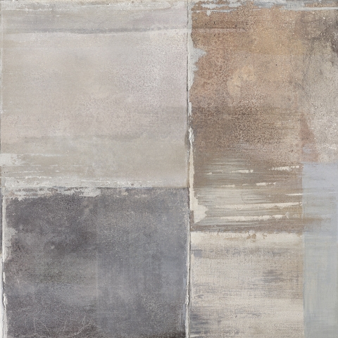 NAXOS VISION  IMAGE NAT.RET. 80X80