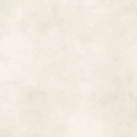 REFIN FEEL WHITE MATT R 60x120