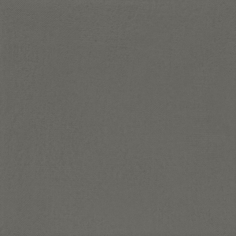 BARDELLI PITTORICA 2/M 6x25